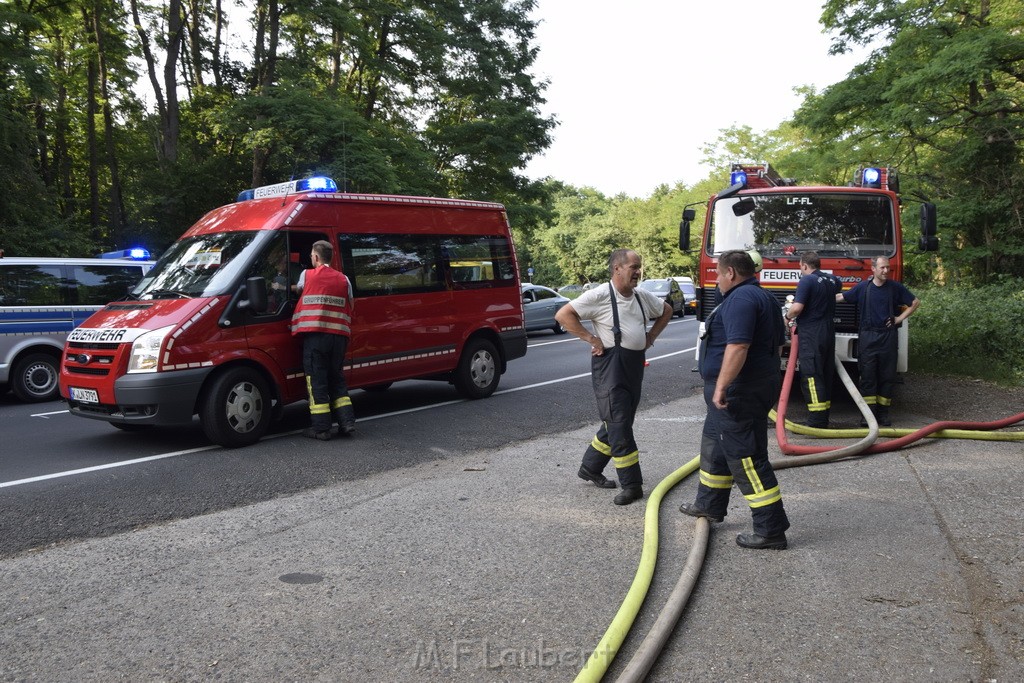 Waldbrand Koeln Hoehenhaus Hoehenfelder Mauspfad P020.JPG - Miklos Laubert